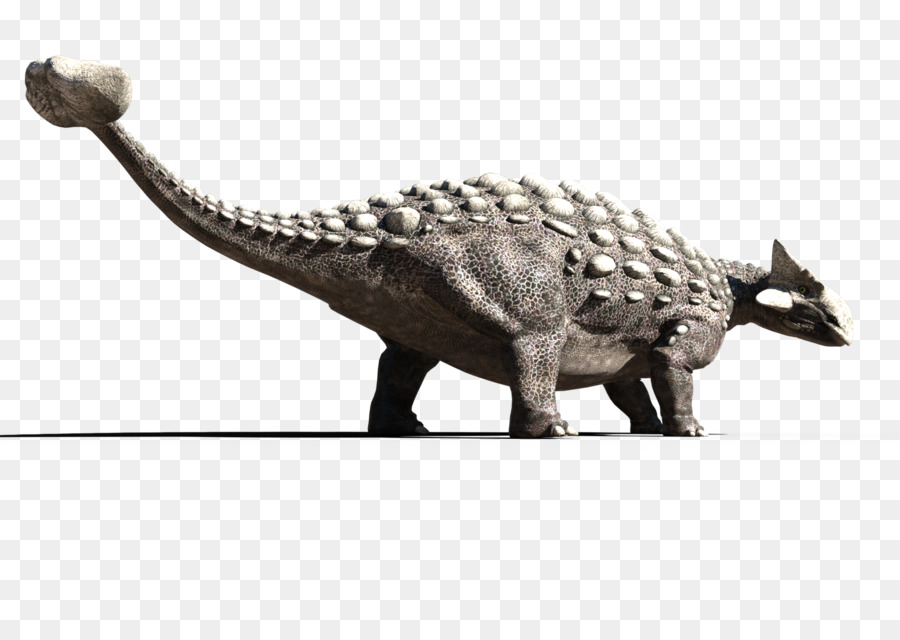 Tyrannosaurus，Ankylosaurus PNG