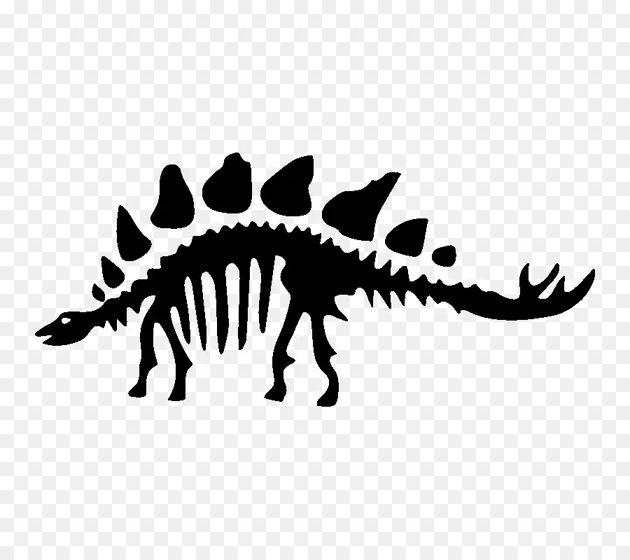 Stegosaurus，Tyrannosaurus PNG
