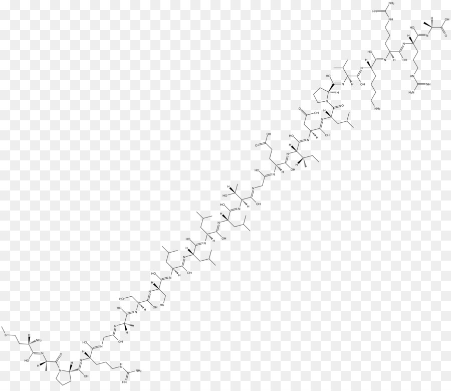 Dna，Molekül PNG