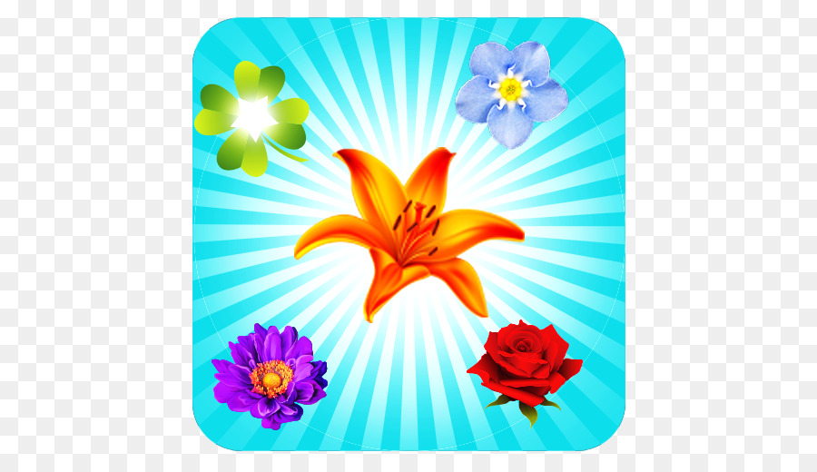 Flora，çiçek Tasarımı PNG
