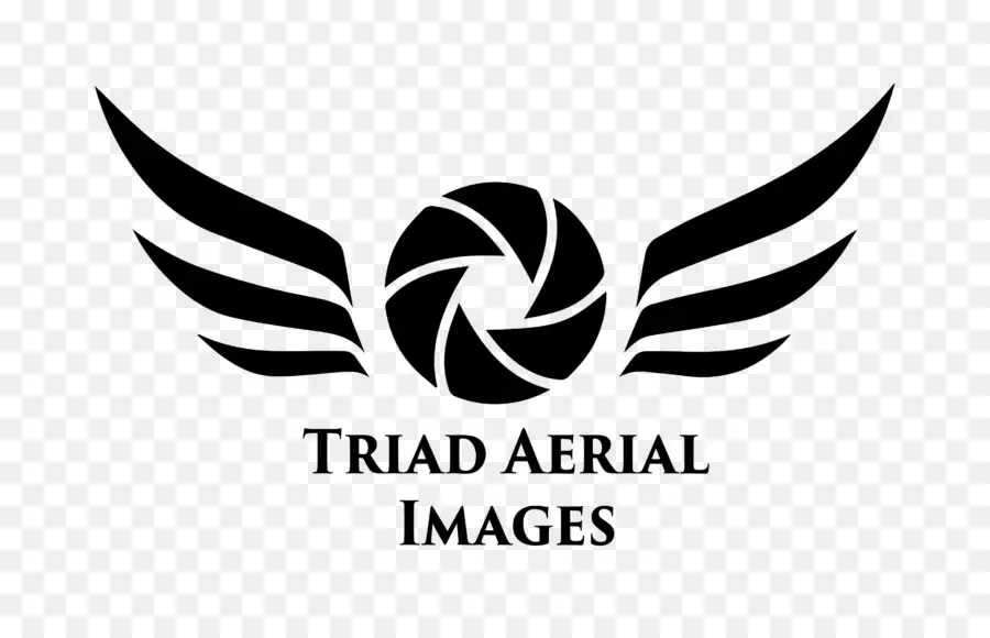 Triad Havadan Görüntüler Logosu，Kanatlar PNG