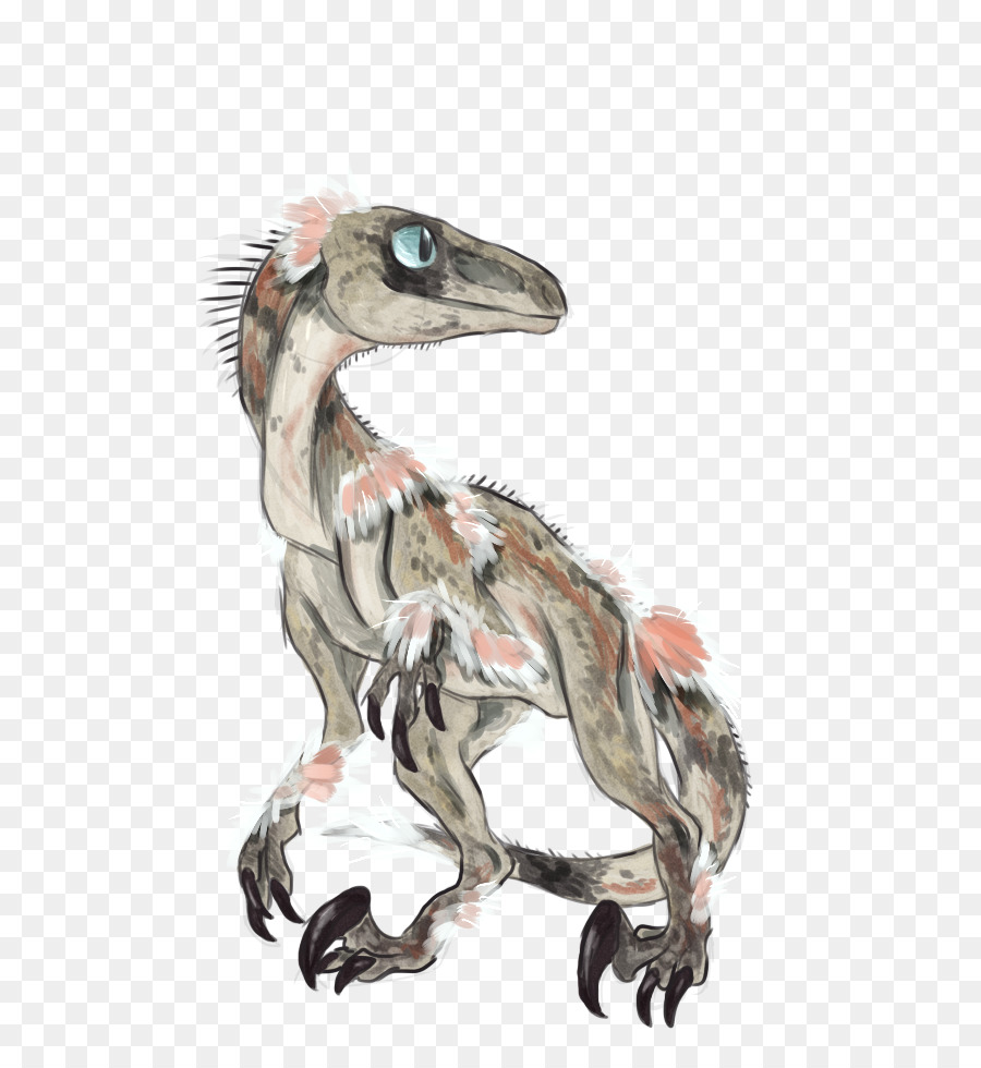 Velociraptor，Çocuk PNG