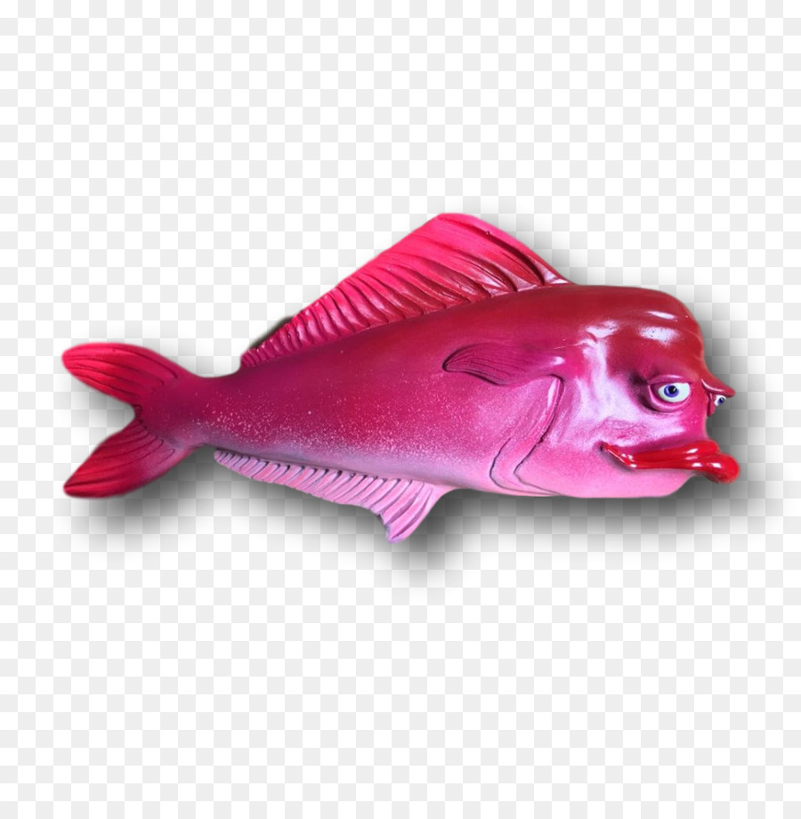 Kuzey Red Snapper，Levrek PNG