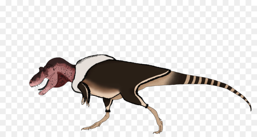 Austroraptor，Dinozor PNG