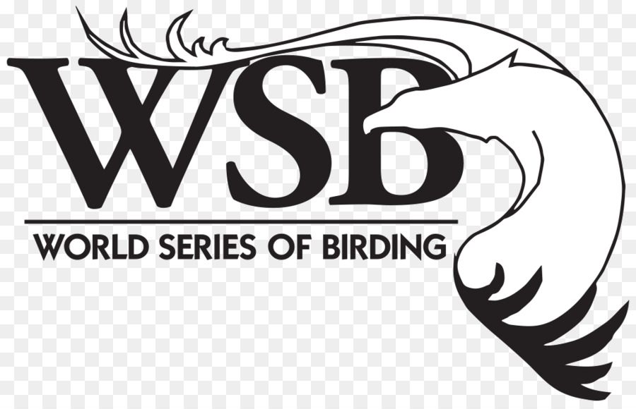 Kuşçuluk Dünya Serisi，Beyzbol Da Dünya Serisi PNG