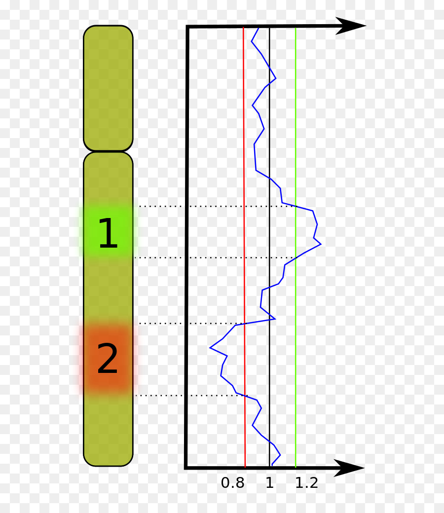 Dna，Genom PNG