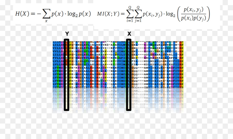 Grafik Tasarım，Marka PNG