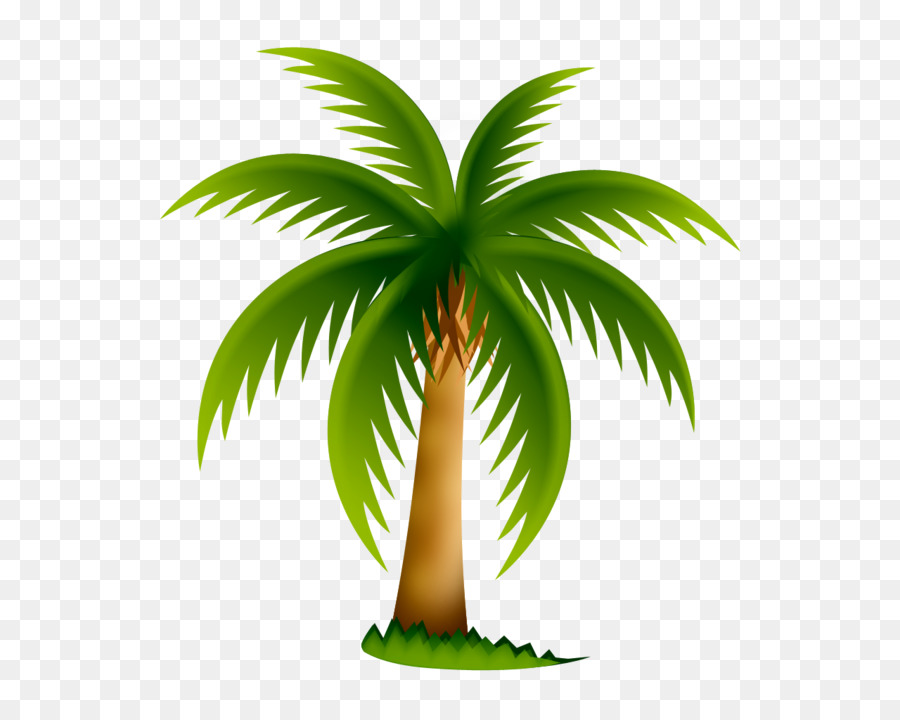 Arecaceae，Ağaç PNG