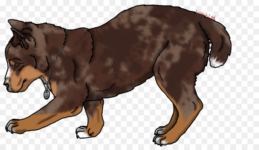 Köpek ırkı，Kanada Eskimo Köpeği PNG