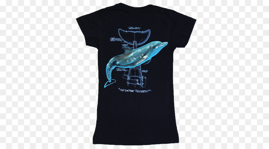 Tshirt，Clearwater Deniz Akvaryumu PNG