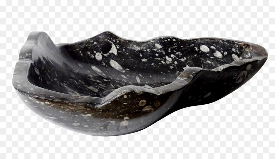 Orthoceras，Fosil PNG