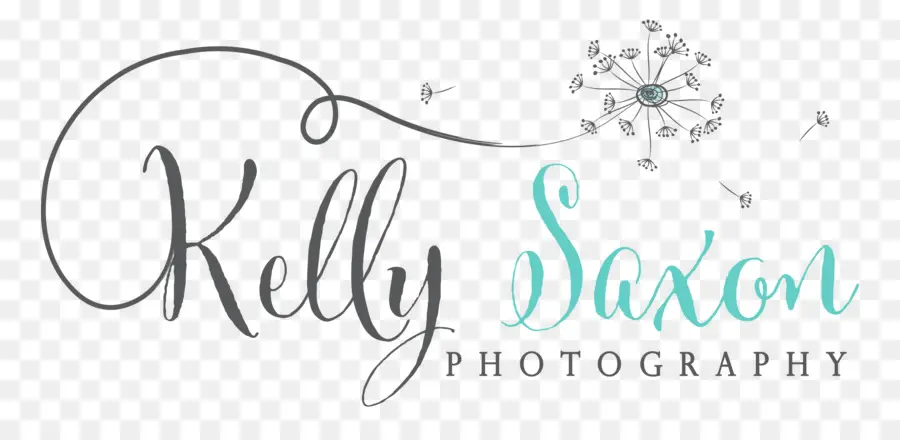 Kelly Sakson Fotoğrafçılık，Fotoğrafçılık PNG