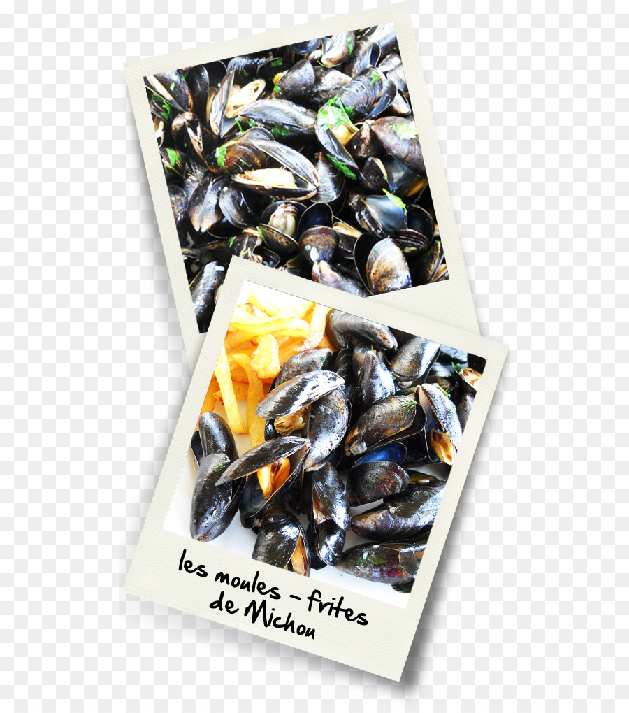 Midye，Moulesfrites PNG