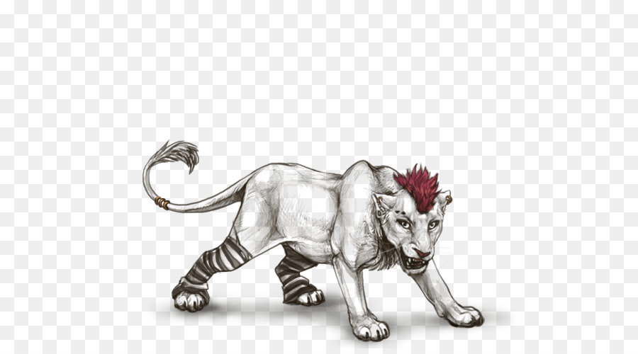 Aslan，Kaplan PNG