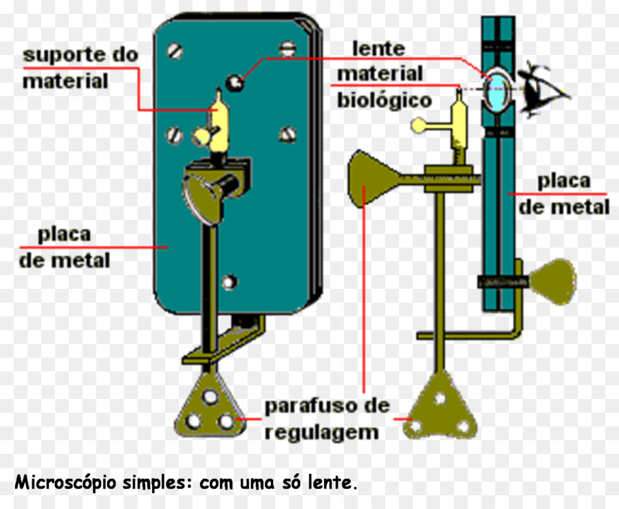 Mikroskop，Microscopio Basit PNG