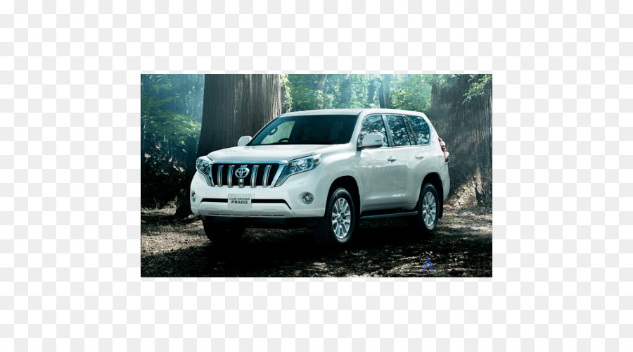 Toyota Land Cruiser Prado，Toyota PNG