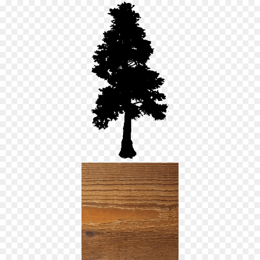 Batı Redcedar，Siyah PNG