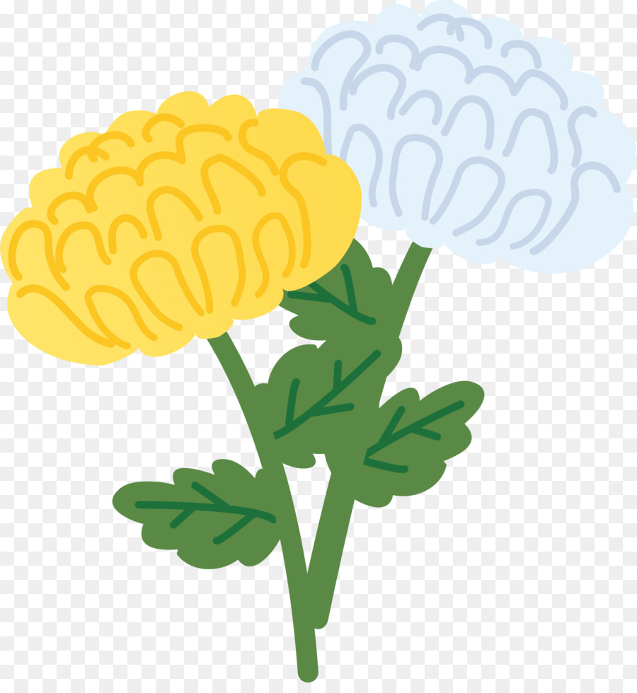 Higan，Krizantem Grandiflorum PNG