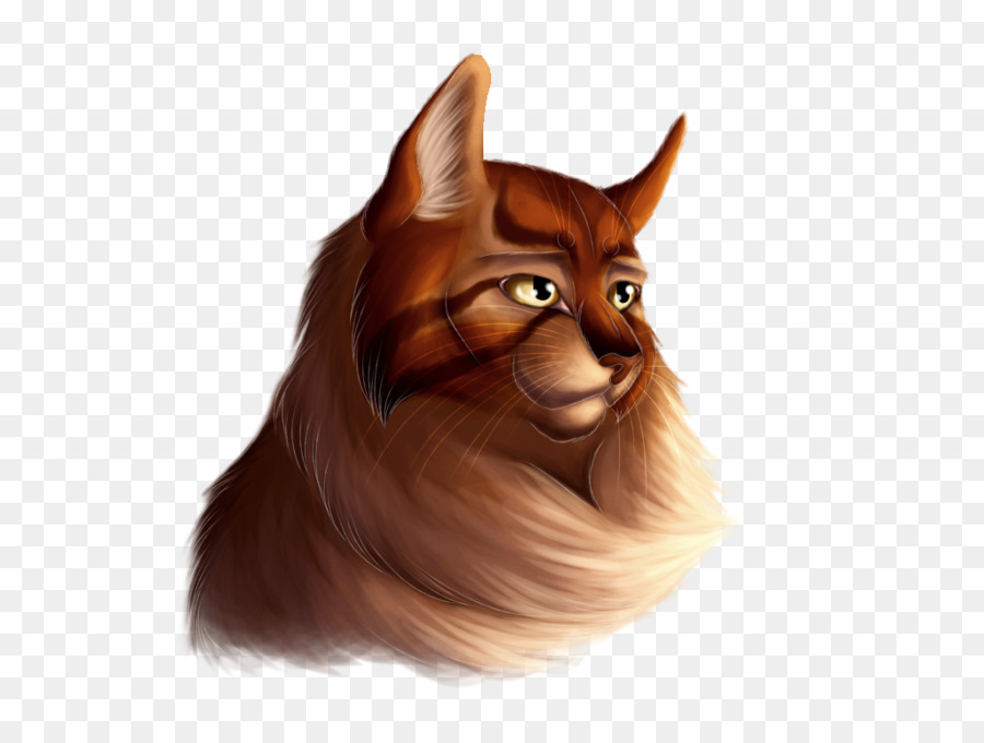 Bıyıkları，Kedi PNG