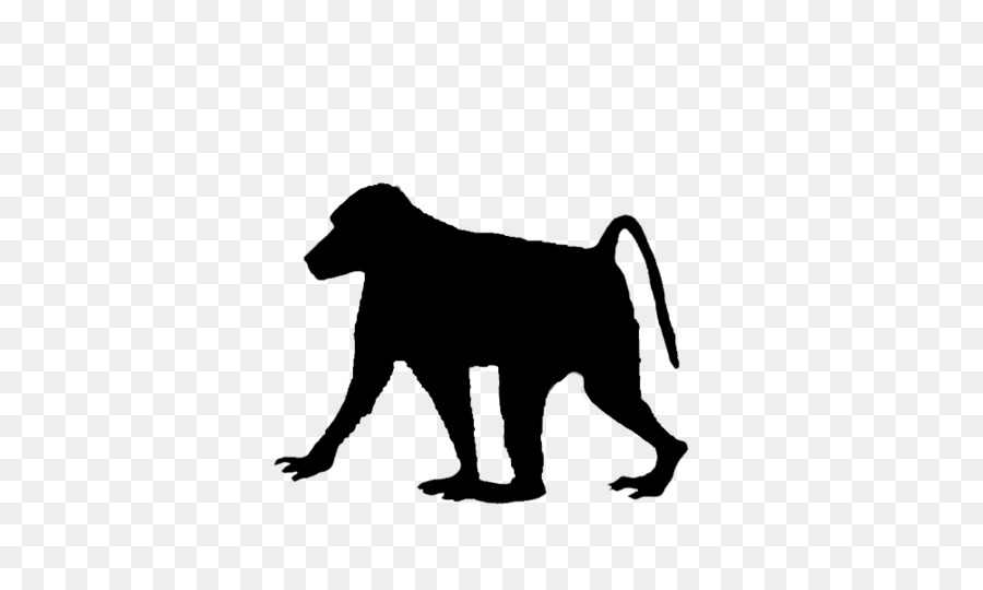 Köpek ırkı，Babunlar PNG