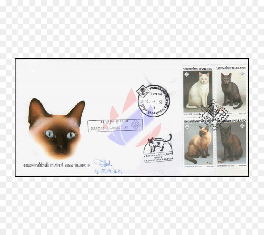 Köpek ırkı，Köpek Yavrusu PNG