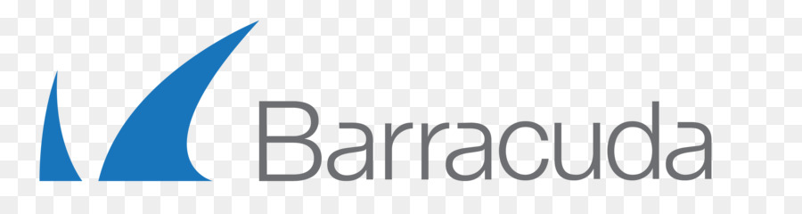Barracuda Ağları，Yük Dengeleme PNG