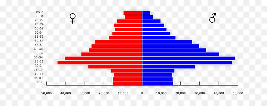 Nüfus Piramidi，Demografi PNG