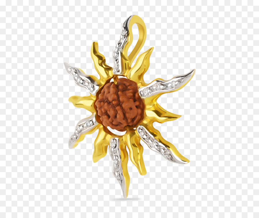 Rudraksha Kolye，Kolye PNG