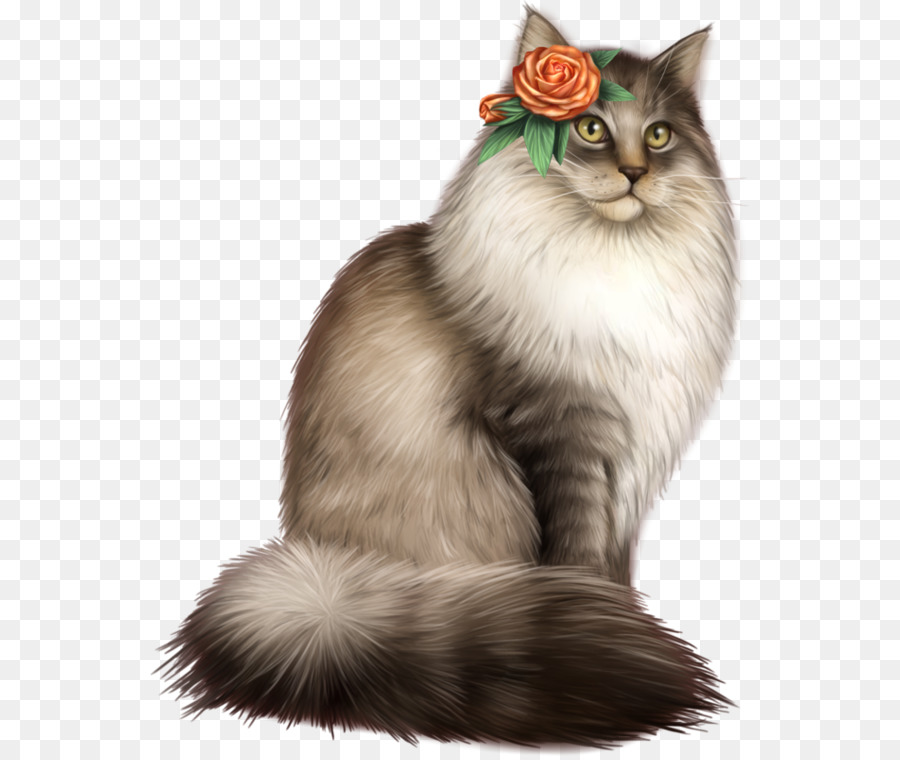 Asya Semilonghair，Nebelung PNG