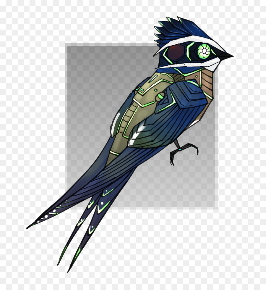 Mavi Jay，Papağan PNG