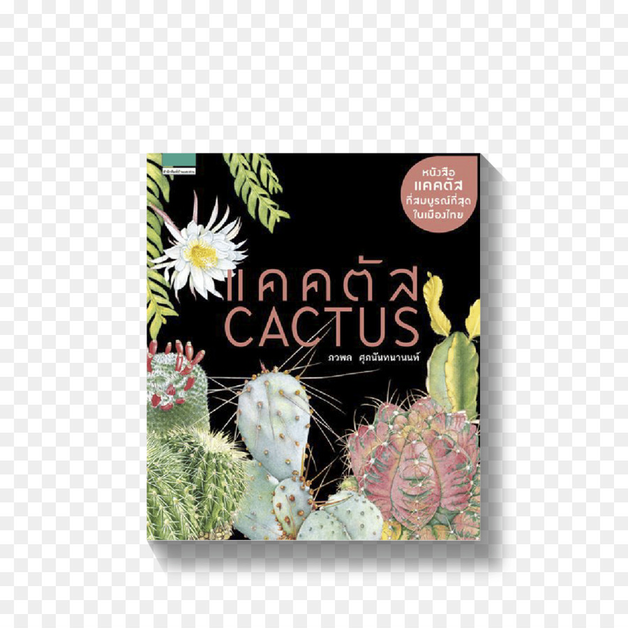 Cactaceae，Kitap PNG