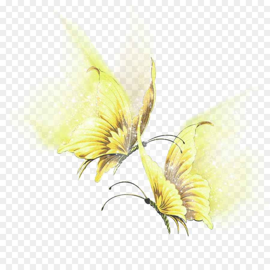 Kelebek，Kanat PNG