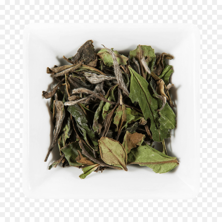 Bai ıliği Lin Development，Nilgiri çay PNG