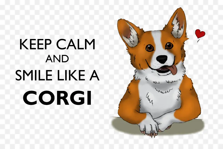 Corgi，Köpek PNG