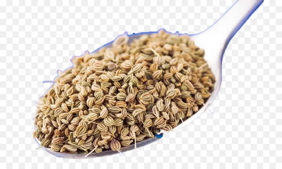 Ajwain Tohumları，Kaşık PNG