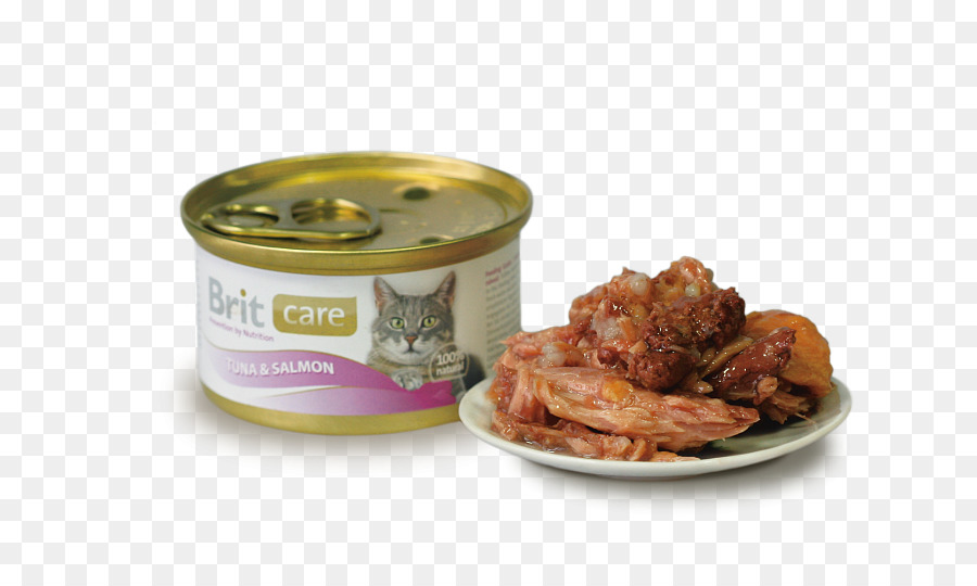 Kedi，Gıda PNG