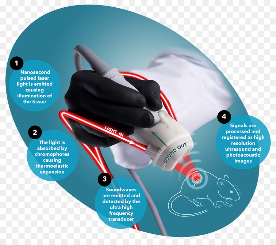 Photoacoustic Görüntüleme，Visualsonics PNG