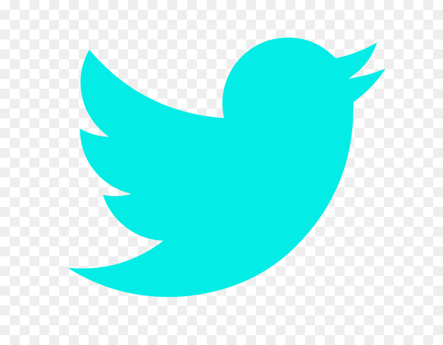 Twitter Logosu，Kuş PNG