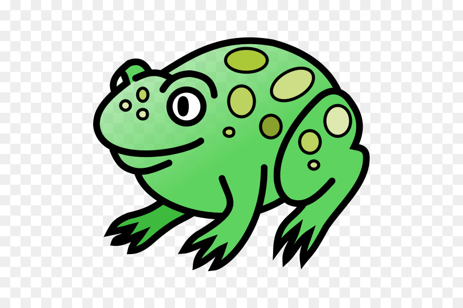 Gerçek Kurbağa，Kurbağa PNG