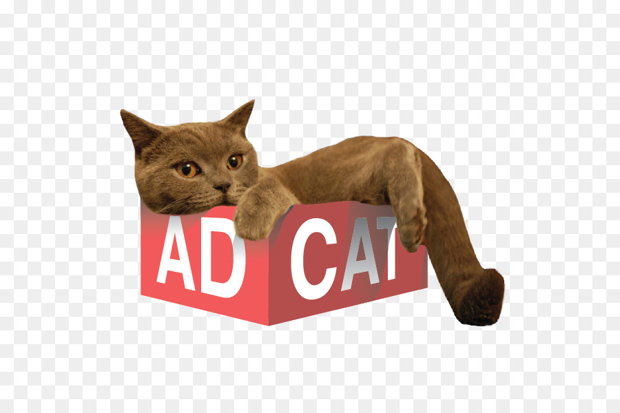 Bıyıkları，Kedi PNG