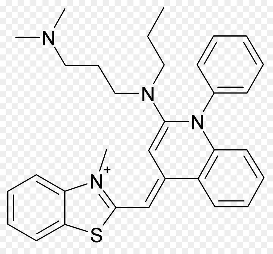 Sybr Green ı，Moleküler Biyoloji PNG