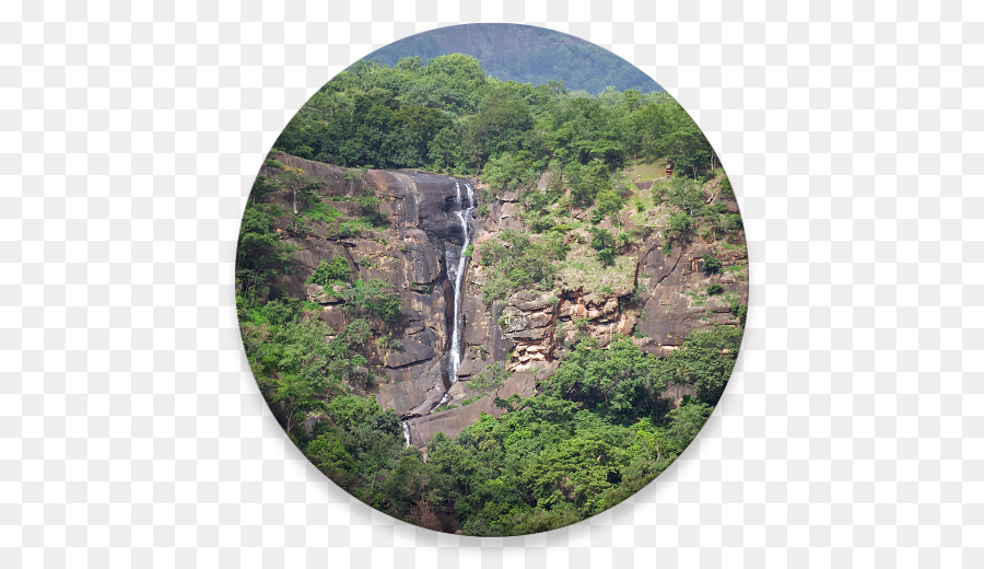 Mount Nimba Katı Doğa Rezerv，Tabiatı PNG