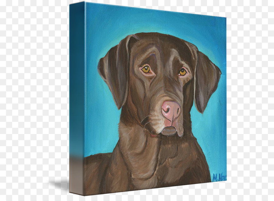 Labrador Retriever，Weimaraner PNG