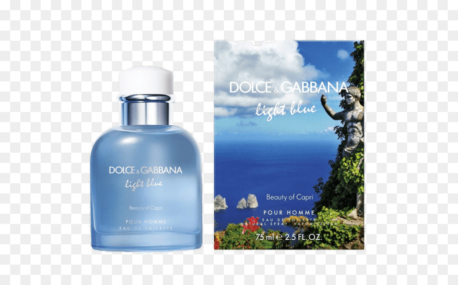 Açık Mavi，Dolce Gabbana PNG