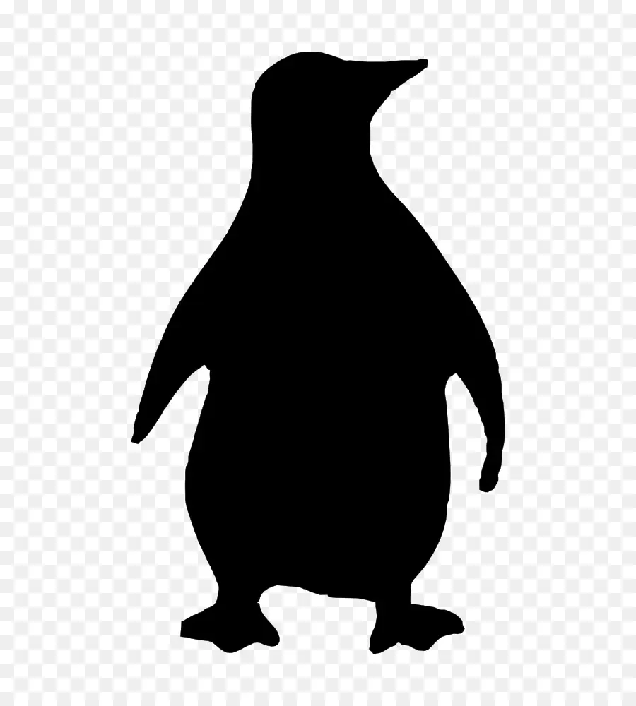 Penguen Silueti，Kuş PNG