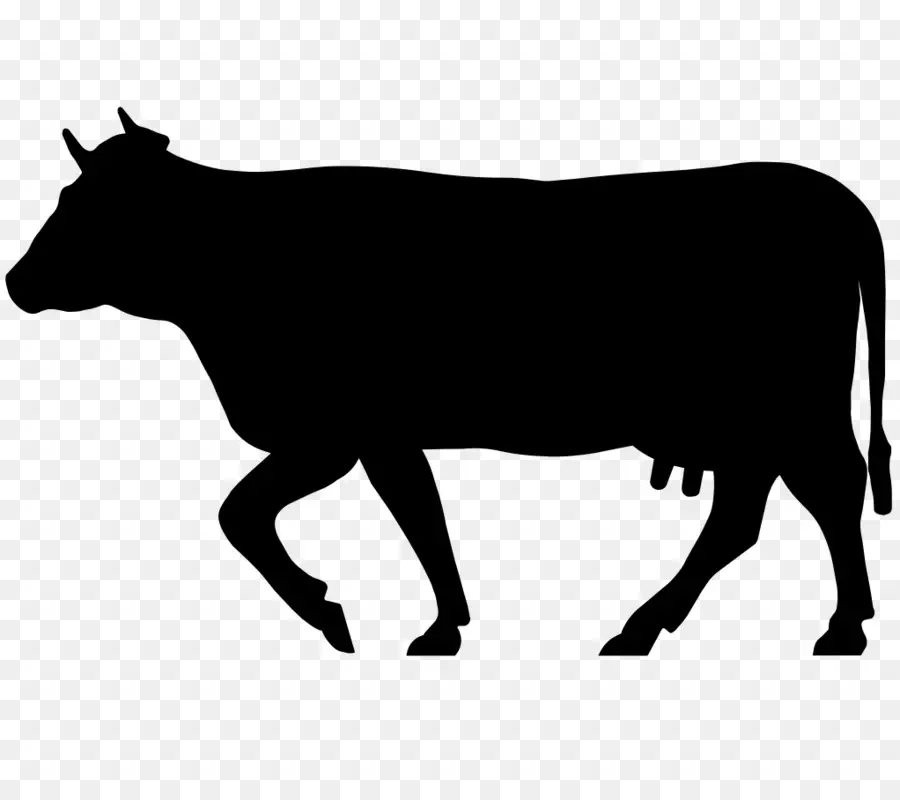 Sığır，Jersey Sığır PNG