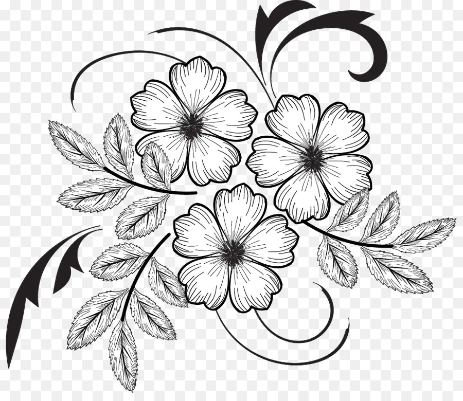 çiçek Tasarımı，Çizim PNG