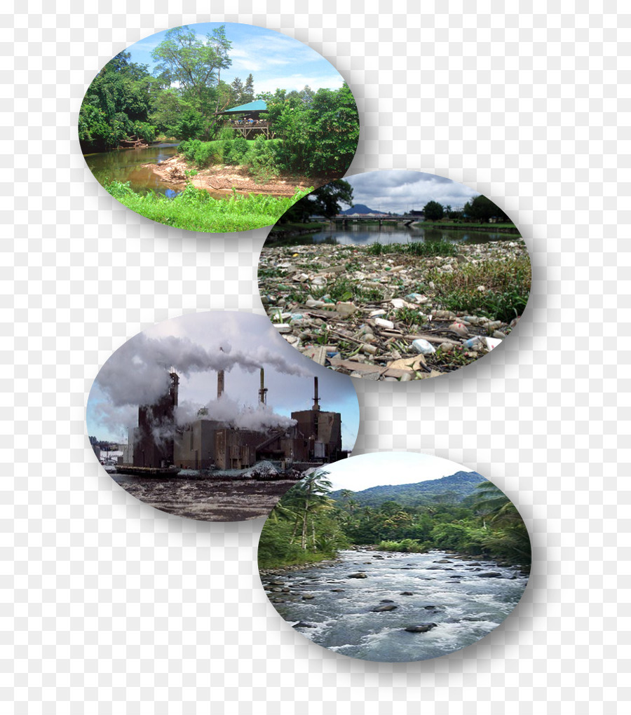 Ekosistem，Su Kaynakları PNG