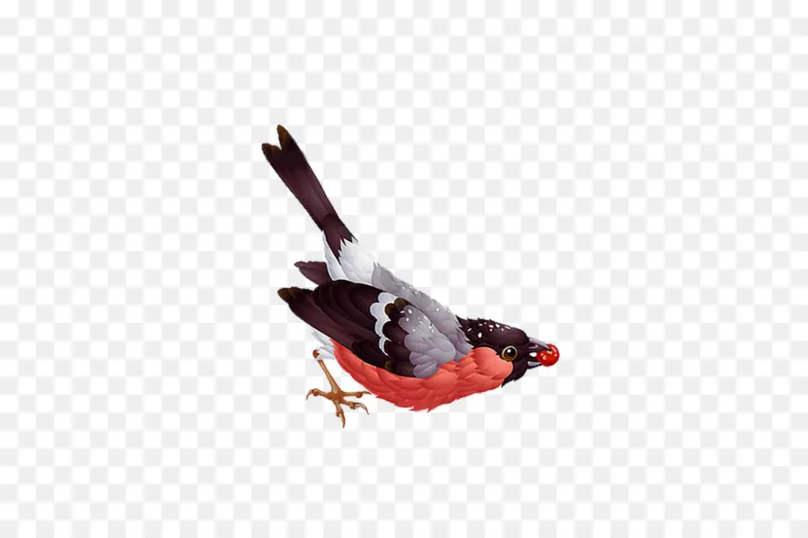 Kuş，şakrak Kuşu PNG
