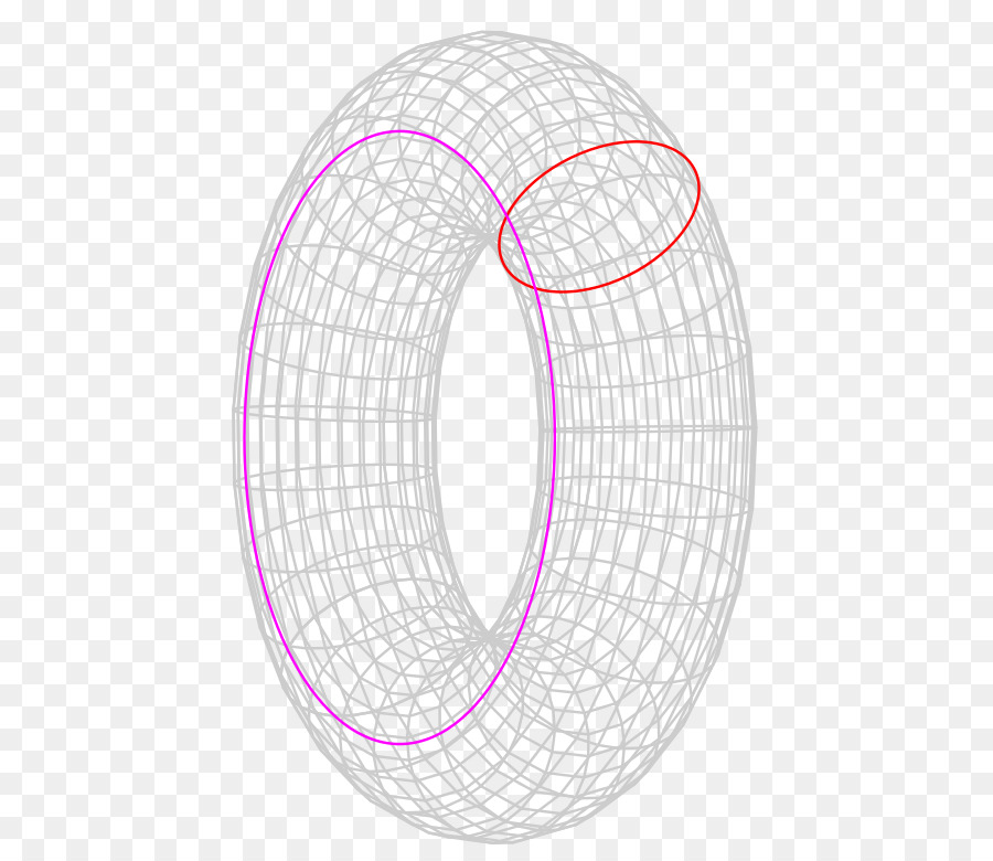 Tel Çerçeve Torus，3d Modeli PNG